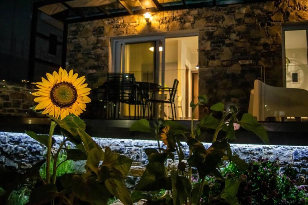 Appartamento Istron Avra Kalo Chorio  Esterno foto