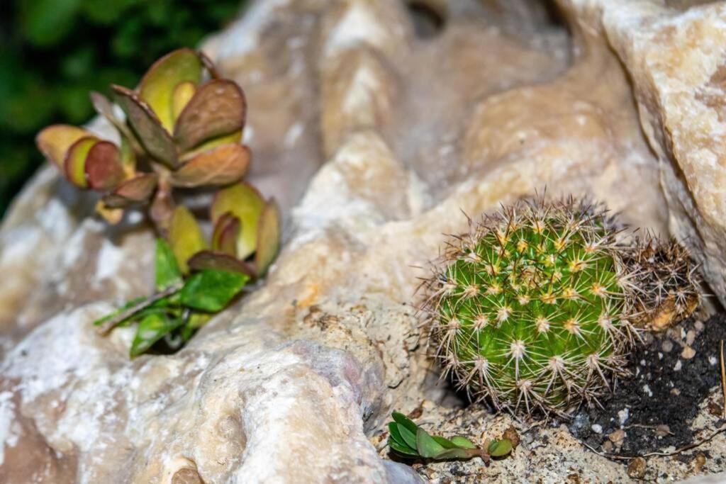 Appartamento Istron Avra Kalo Chorio  Esterno foto