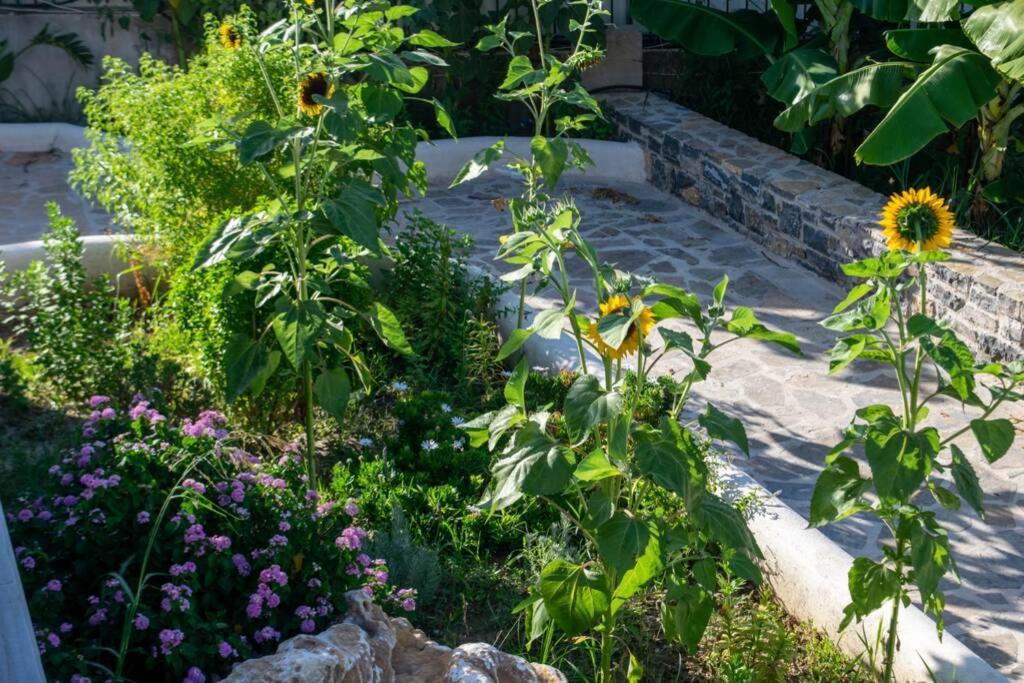 Appartamento Istron Avra Kalo Chorio  Esterno foto
